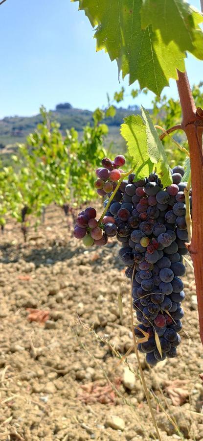 Agriturismo Sotto La Rocca Carmignano Zewnętrze zdjęcie